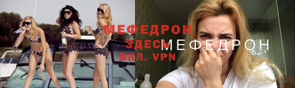 индика Богородицк