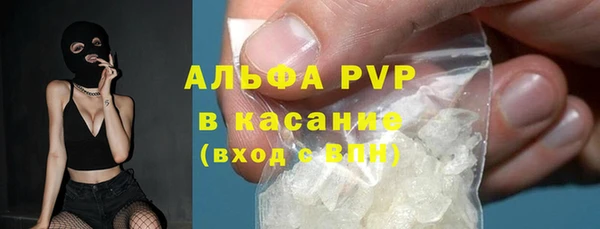 индика Богородицк