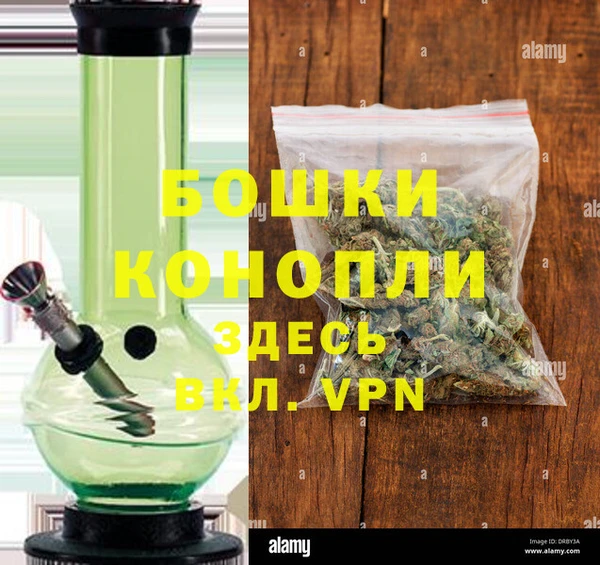 ГАЛЛЮЦИНОГЕННЫЕ ГРИБЫ Богородск