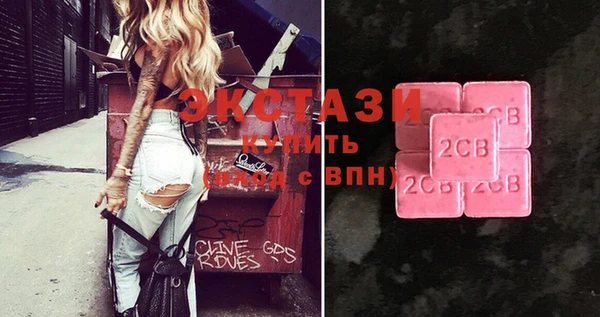 индика Богородицк