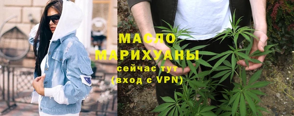 индика Богородицк