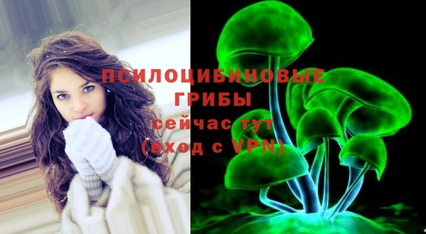 ГАЛЛЮЦИНОГЕННЫЕ ГРИБЫ Богородск